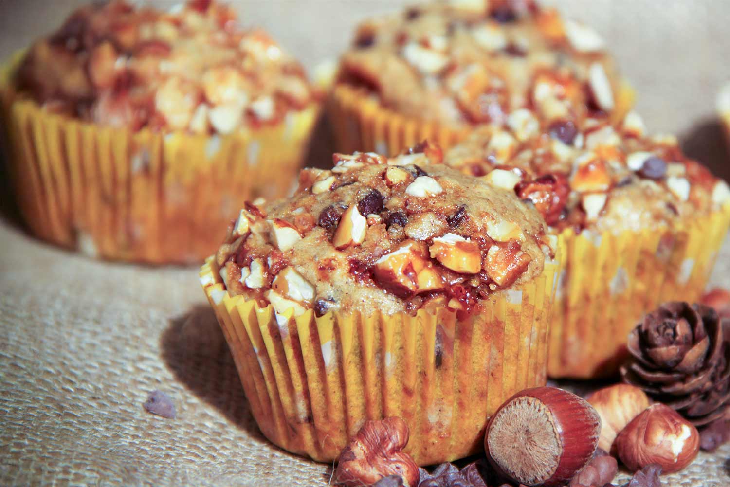 Recette de muffins aux pépites de chocolat et aux noisettes caramélisées