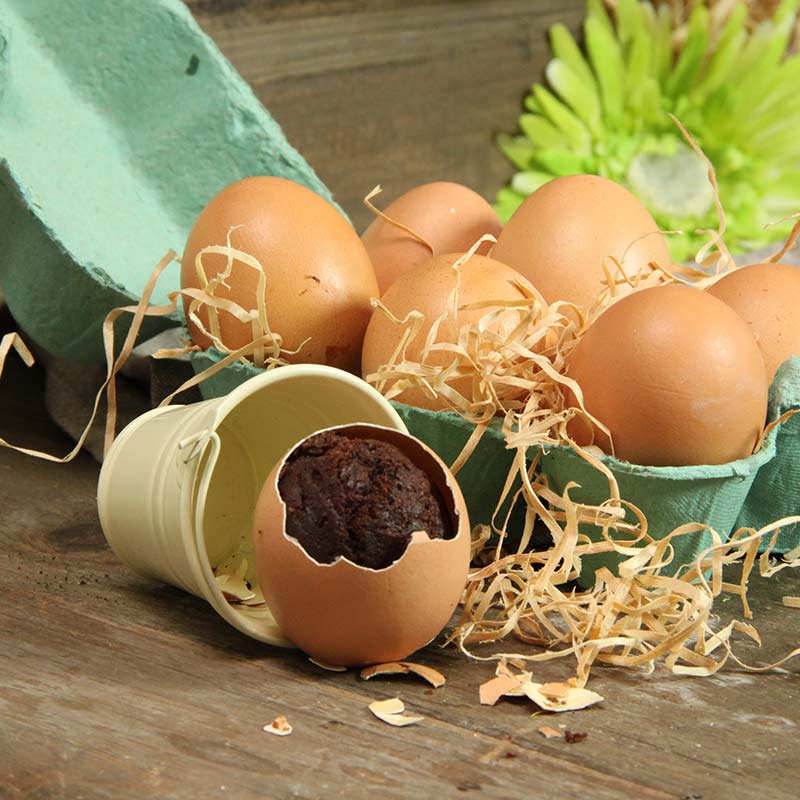 Recette d'œuf de pâques surprise moelleux au chocolat