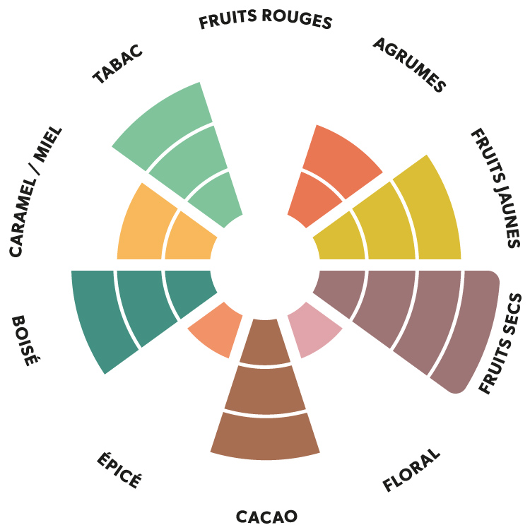 Roue aromatique du chocolat noir Kaoka