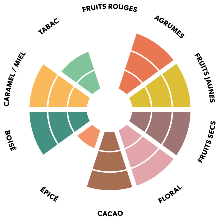 Roue aromatique du chocolat noir Équateur Kaoka