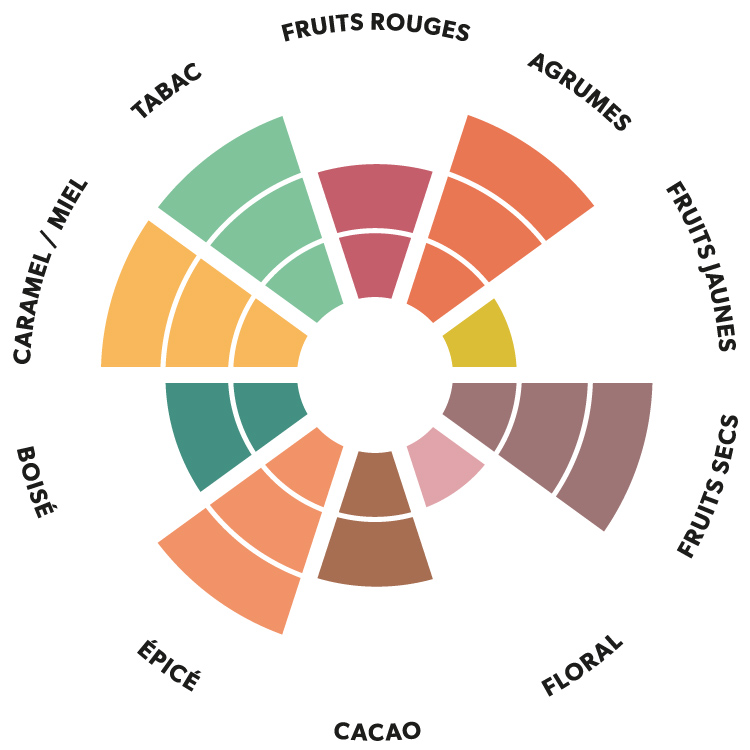 Roue aromatique du chocolat noir Pérou Kaoka