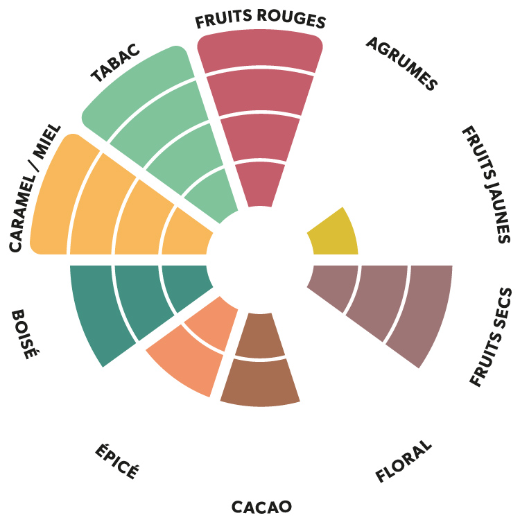 Roue aromatique du chocolat noir République Dominicaine Kaoka
