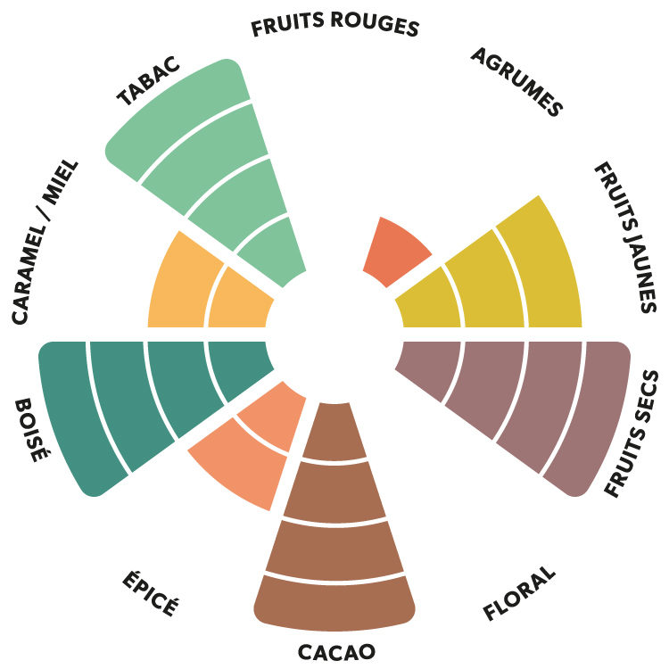 Roue aromatique du chocolat noir Sao Tomé Kaoka