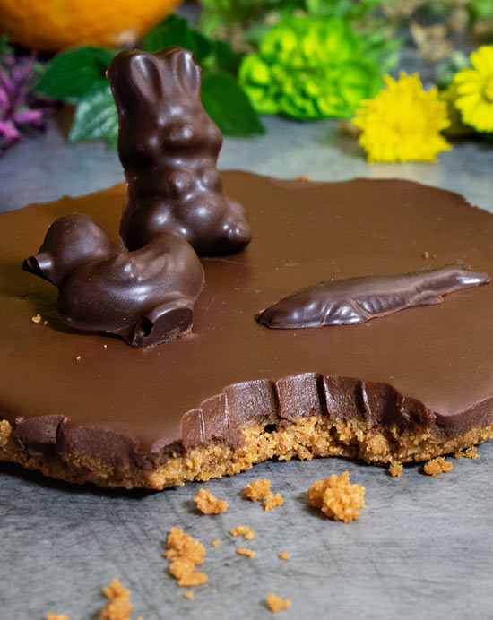 Tarte au chocolat noir sans cuisson