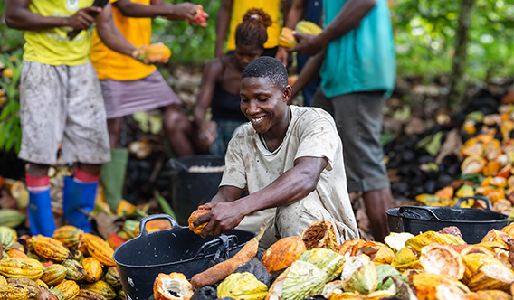 Un producteur de cacao à Sao Tomé