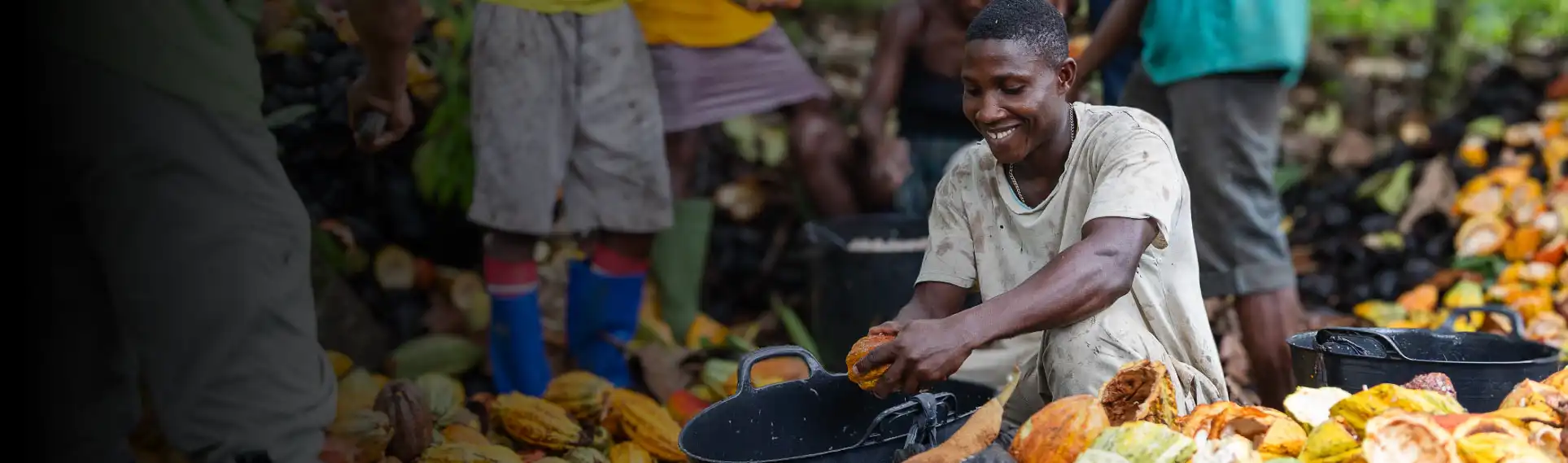 Filière cacao bio, équitable et zéro déforestation de Kaoka à Sao Tomé