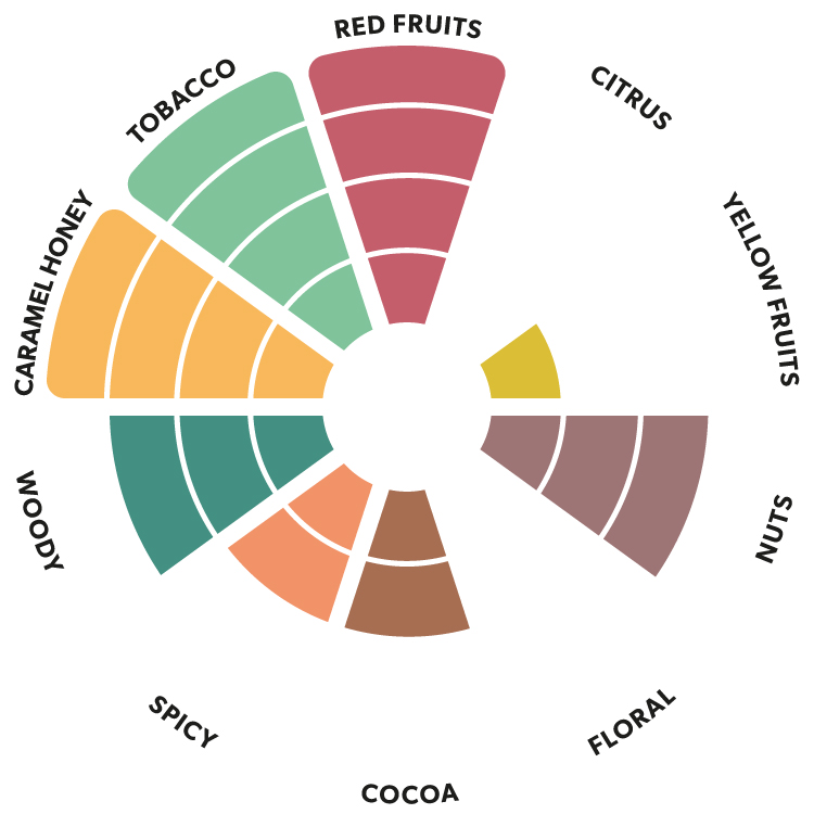 Kaoka Dominican Republic dark chocolate flavour wheel