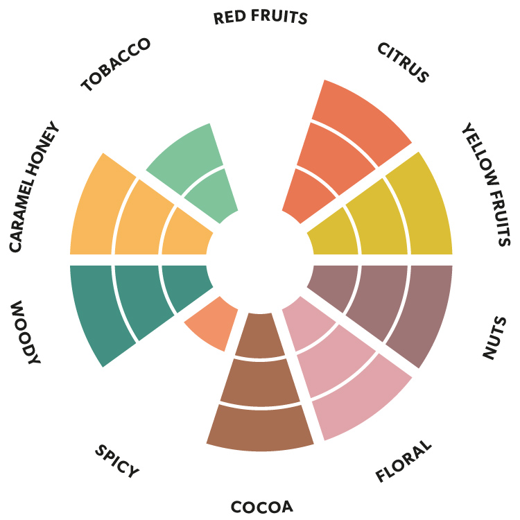 Kaoka Ecuador dark chocolate flavour wheel