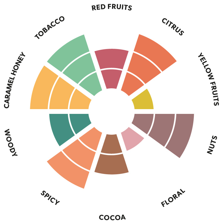 Kaoka Peru dark chocolate flavour wheel