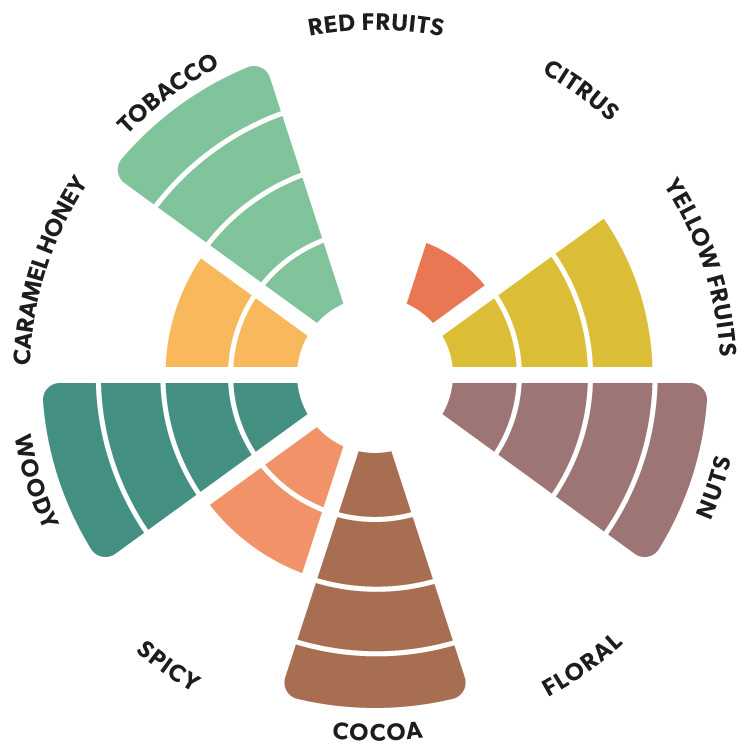 Sao Tomé Kaoka dark chocolate flavour wheel