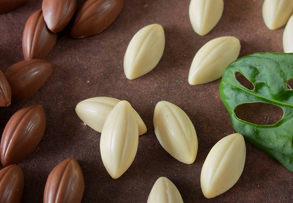Cabosses de chocolat blanc et de chocolat au lait Kaoka