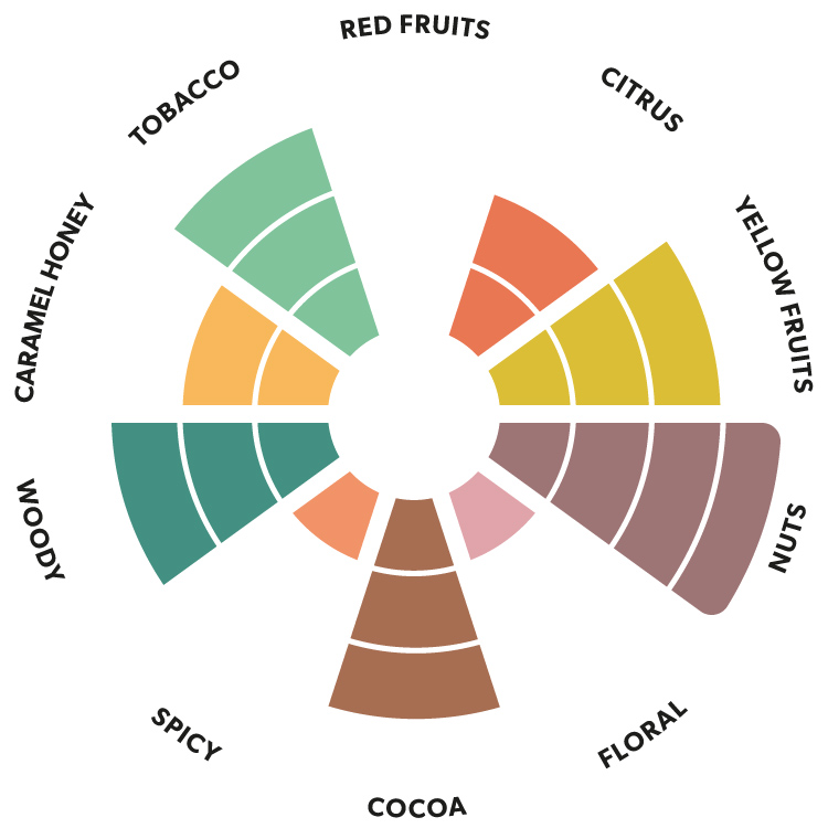 Kaoka dark chocolate aroma wheel
