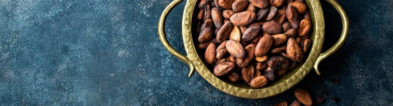 Fèves de cacao bio et équitables - Chocolat Kaoka