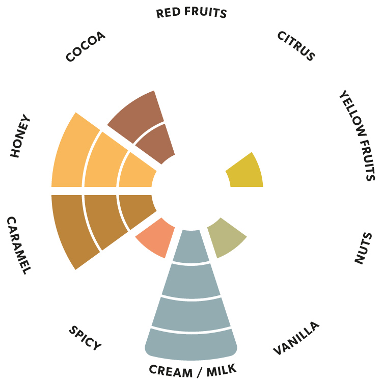 Aromatic profile of Kaoka brand milk chocolate blend