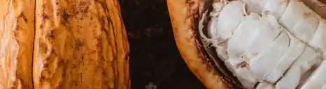 Cacao bio d'équateur, filière Kaoka