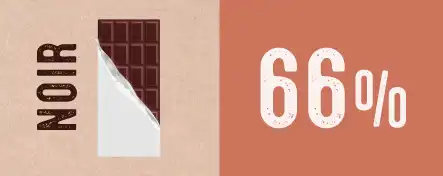 Chocolats à 66% de cacao