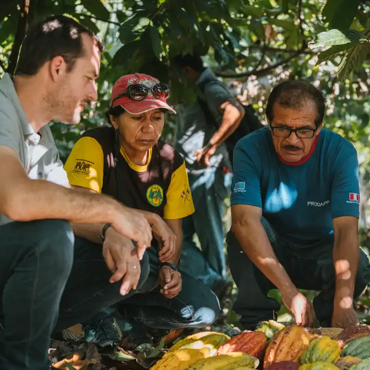 Équipe Kaoka à la coopérative colpa de Loros au Pérou