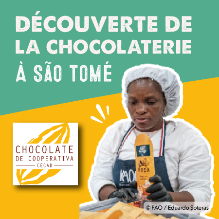 Chocolaterie de Sao Tomé