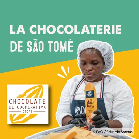 Chocolaterie de Sao Tomé