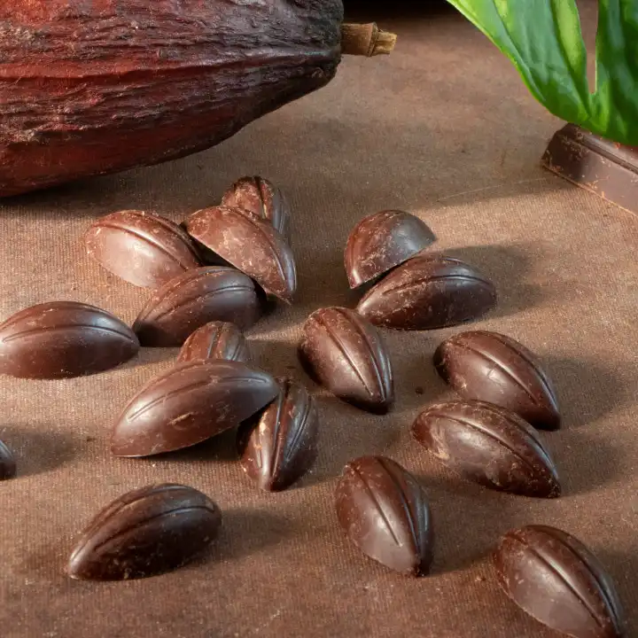 Cabosses de chocolat noir sans gluten en vrac