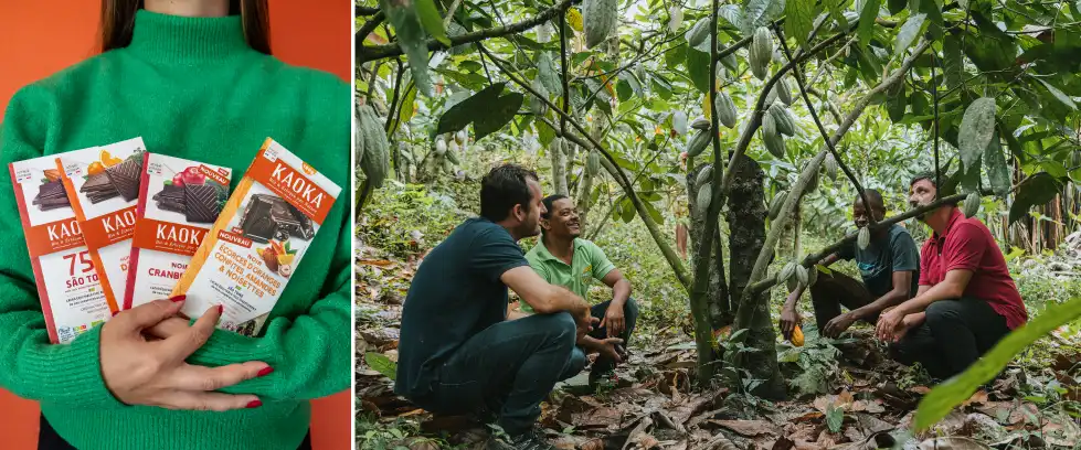 Tablettes de chocolat marque Kaoka et équipe Kaoka et producteurs dans plantation