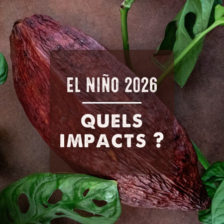 Quels impacts d'El Nino 2026 selon Kaoka